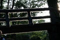 img_3359.jpg