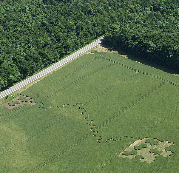 29.06.2005 042