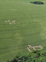 29.06.2005 045